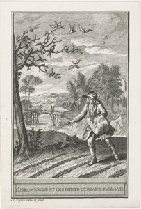 De zwaluw en de vogeltjes