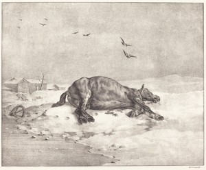 Dead Horse