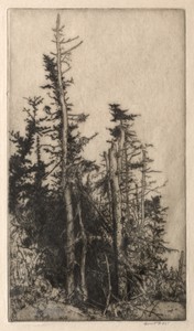 Dead Tree