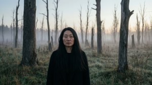 Dead Wood Haunt