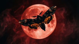 Death Moth Blood Moon
