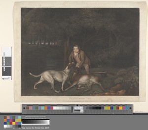 Death of the Doe