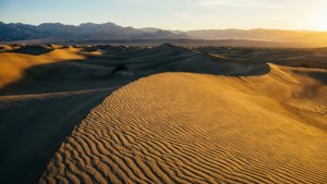 Death Valley Dunes