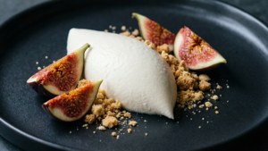 Deconstructed Fig Blancmange