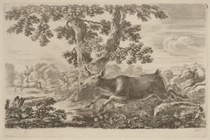 Deer Chased by a Dog to the Right