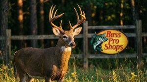 Deer in the Clearing