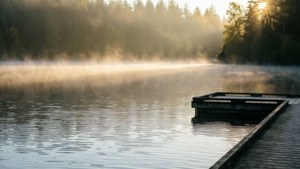 Deer Lake Dawn