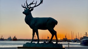 Deer Statue Sunset