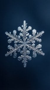 Delicate Snowflake Macro