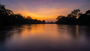 Demerara River Reflections