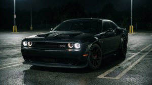 Demon in the Dark