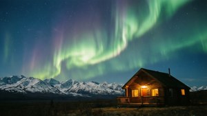 Denali Cabin Aurora