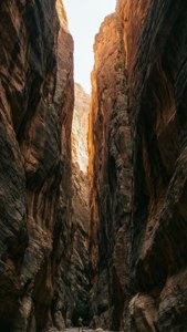 Depths of the Canyon