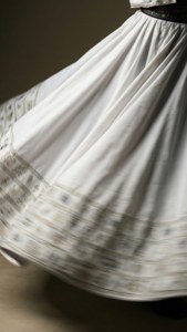Dervish Skirt Motion