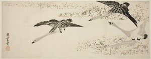 Descending Geese