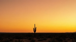 Desert Cactus Silhouette