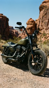 Desert Canyon Custom