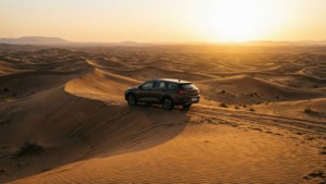 Desert Dawn