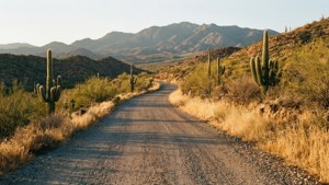 Desert Dirt Road