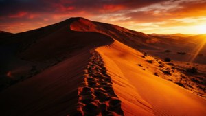 Desert Dune Sunset