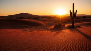 Desert Dune Sunset