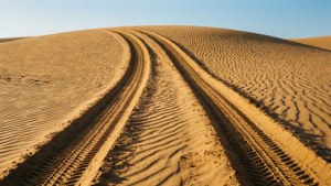 Desert Dune Tracks