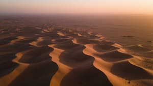 Desert Dunes at Dusk
