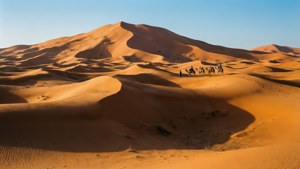 Desert Dunes Caravan