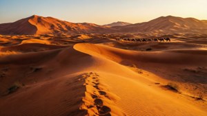 Desert Dunes Golden Hour