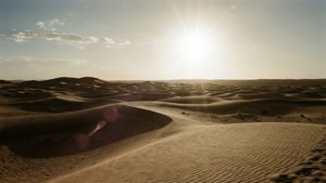 Desert Dunes Sepia
