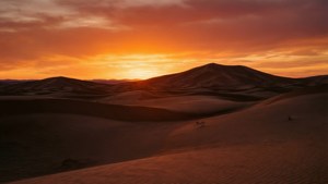 Desert Dunes Sunset