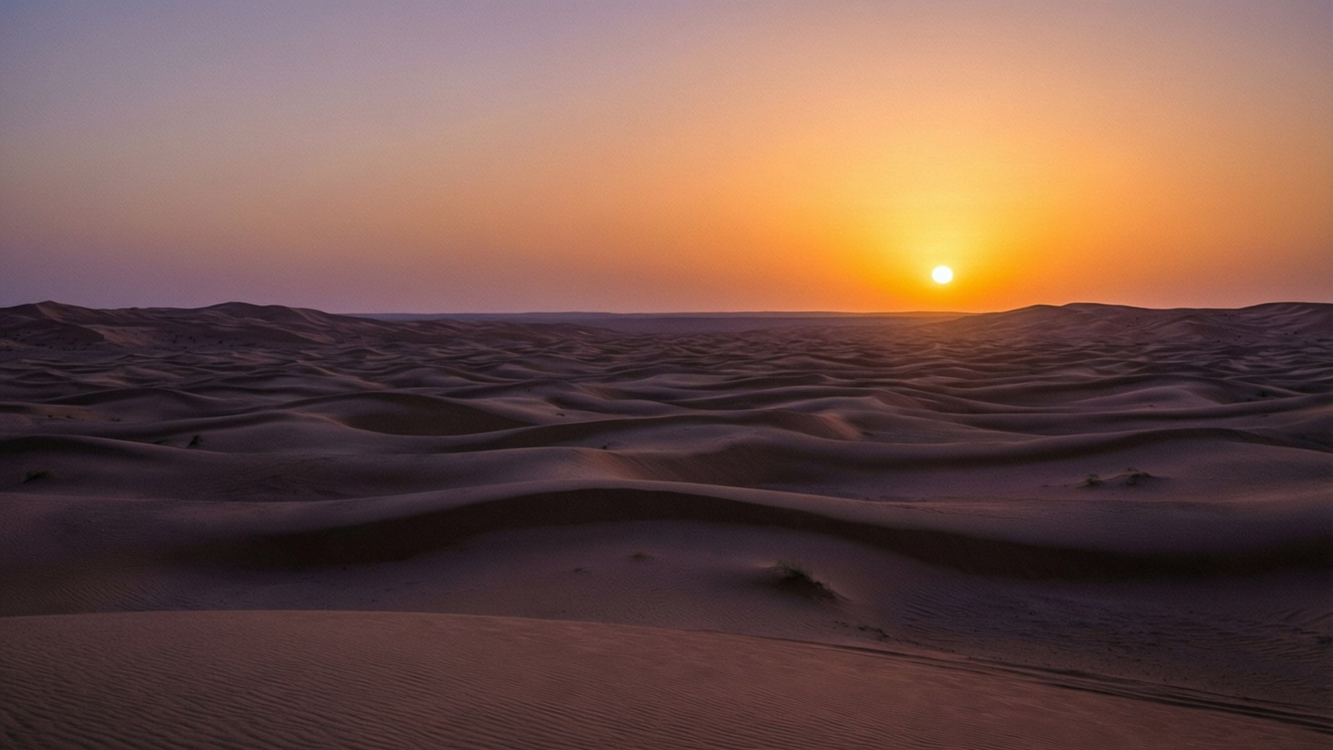 Desert Dusk Serenity by Wallpapers.art Studio