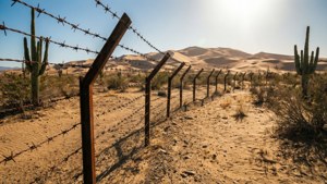 Desert Fence Horizon