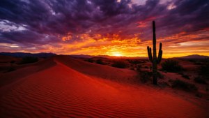 Desert Fire Sunset