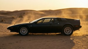 Desert Golden Hour