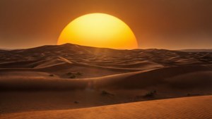 Desert Half Sun