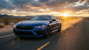 Desert Highway Sunset