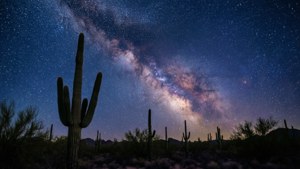 Desert Milky Way