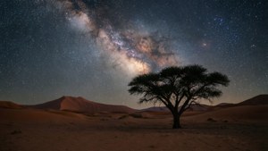 Desert Milky Way Starry Night