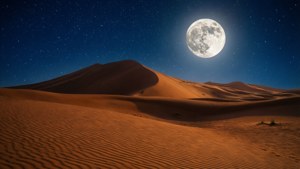Desert Moon