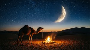 Desert Night Campfire