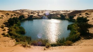 Desert Oasis Lake