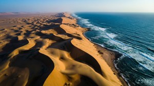 Desert Ocean Meeting