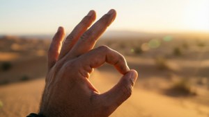 Desert OK Gesture