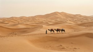 Desert Overview Minimal
