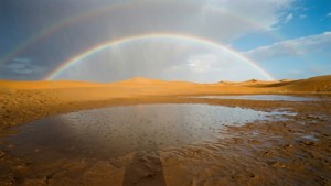 Desert Rain Rainbow