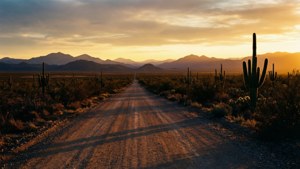 Desert Road at Sunset
