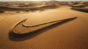Desert Sand Swoosh