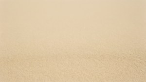 Desert Sand Texture