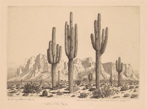Desert Sentinels, Apache Trail, Arizona